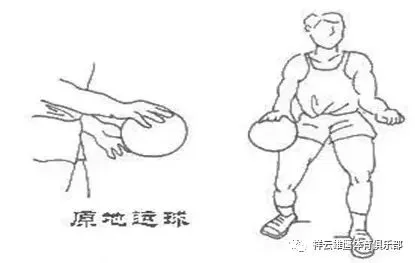 专业运动员如何借助网络化技术优化训练_1